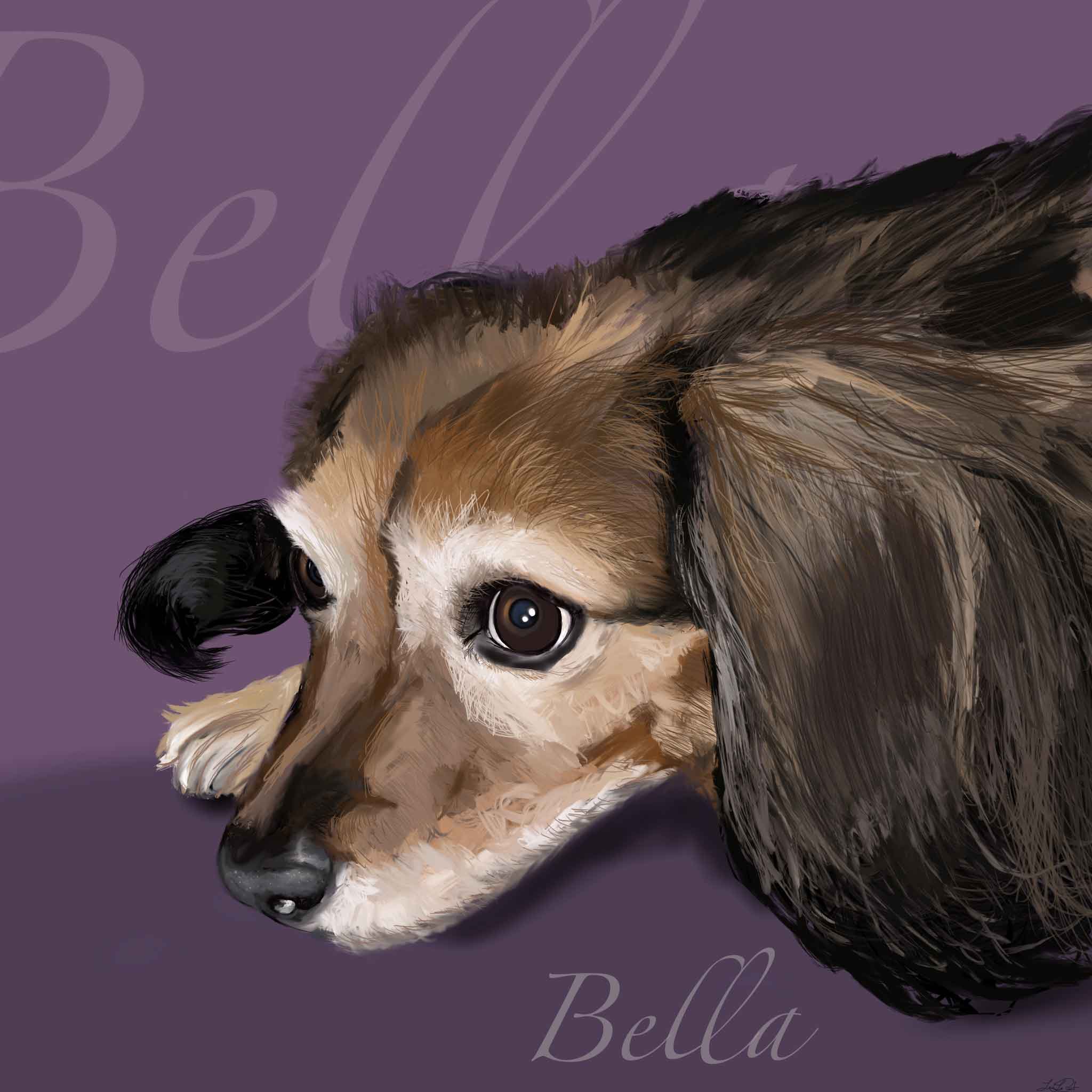 Portrait of Bella the Dog