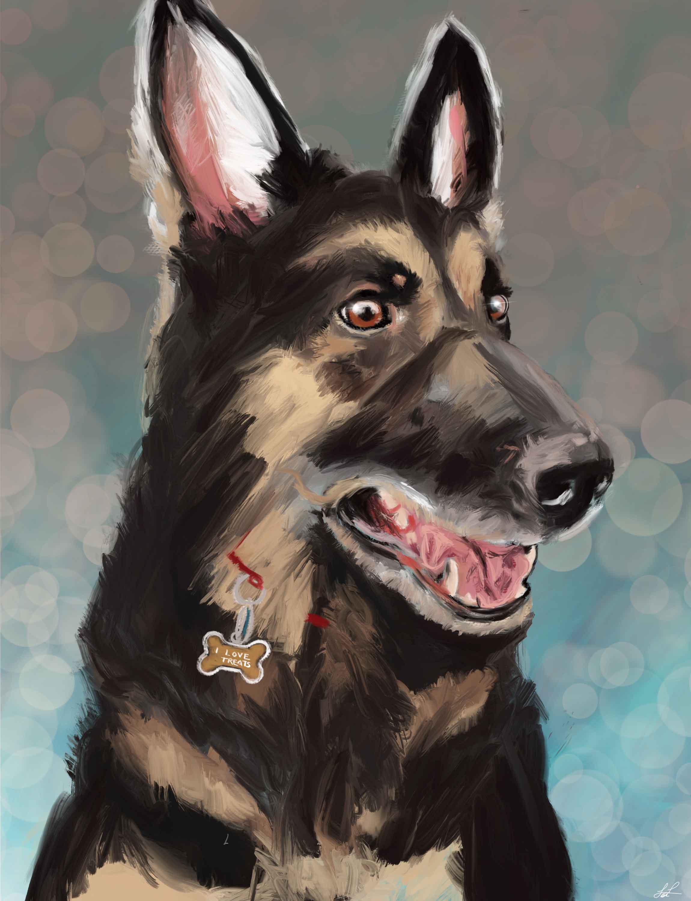 Portrait of Toby the Dog