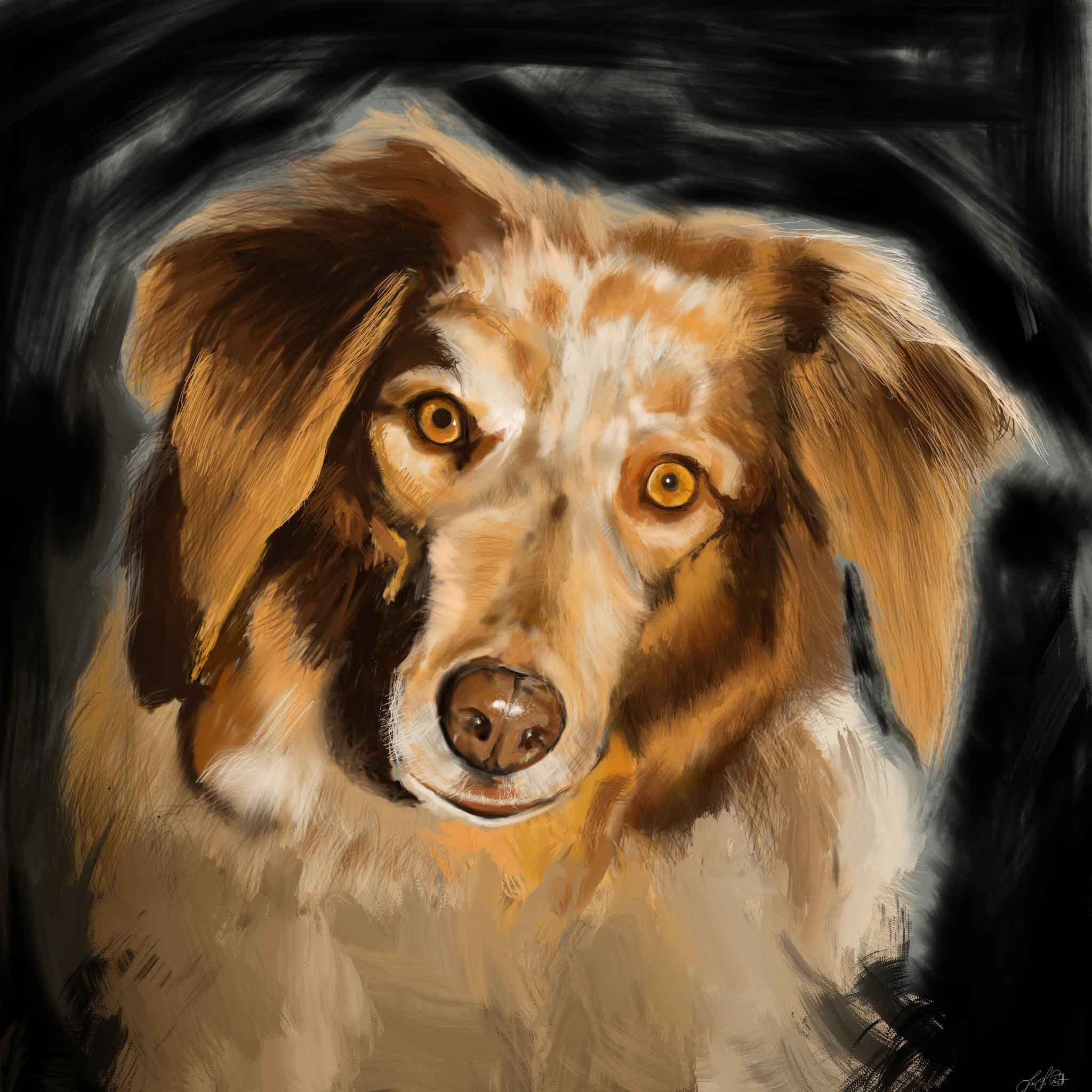 Portrait of Yellow Dog
